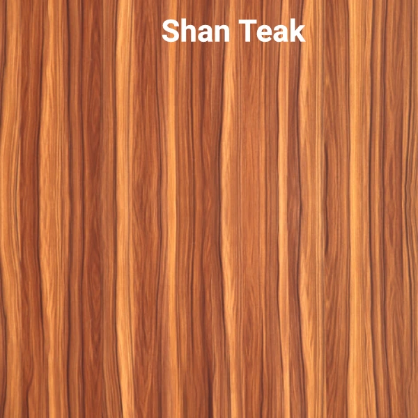 Shan Teak
