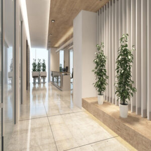 ALPHA INSURANCE COMPANY