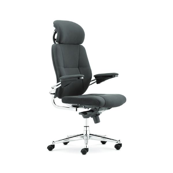 modern luxury spine align revolving office chair
