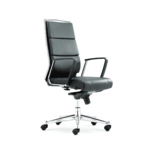 high quality revolving director chair in black color