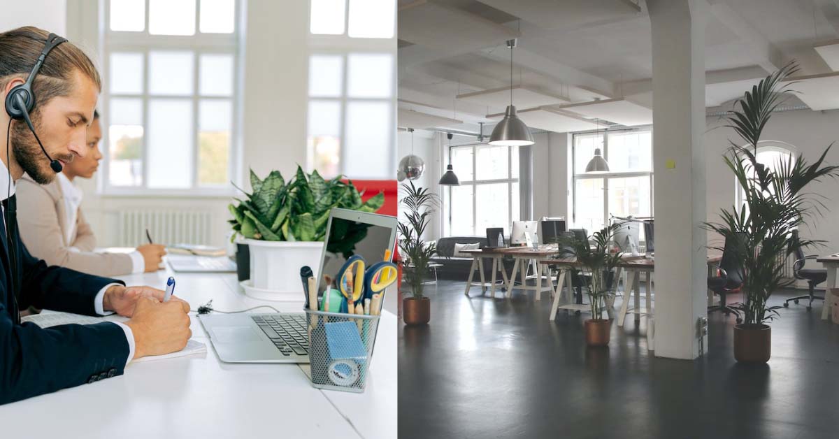 Have Indoor Plants for Workplace Decoration