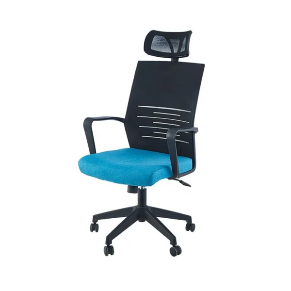 Ergonomic Chair Black and blue color combination