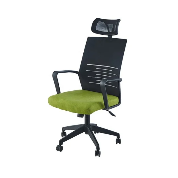 Ergonomic Chair Black and green color combination