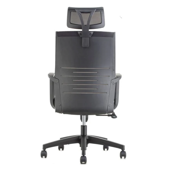 Ergonomic Chair Black color back view