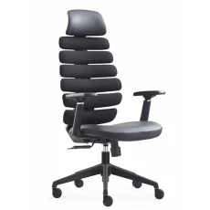 ergonomic chair with headrest