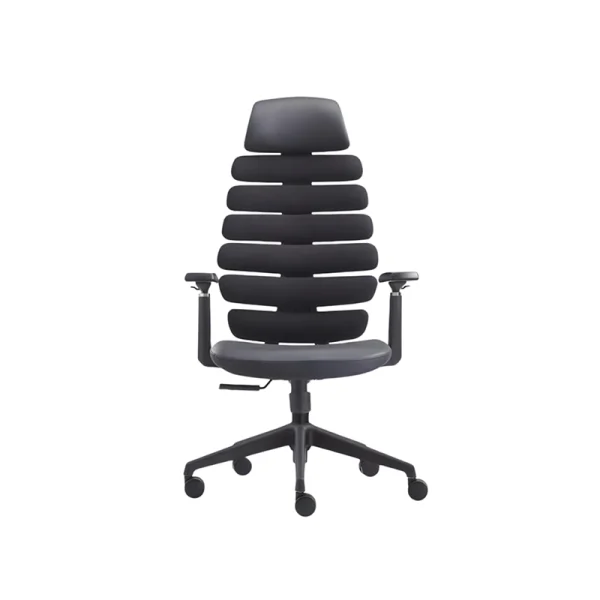 ergonomic chair front view