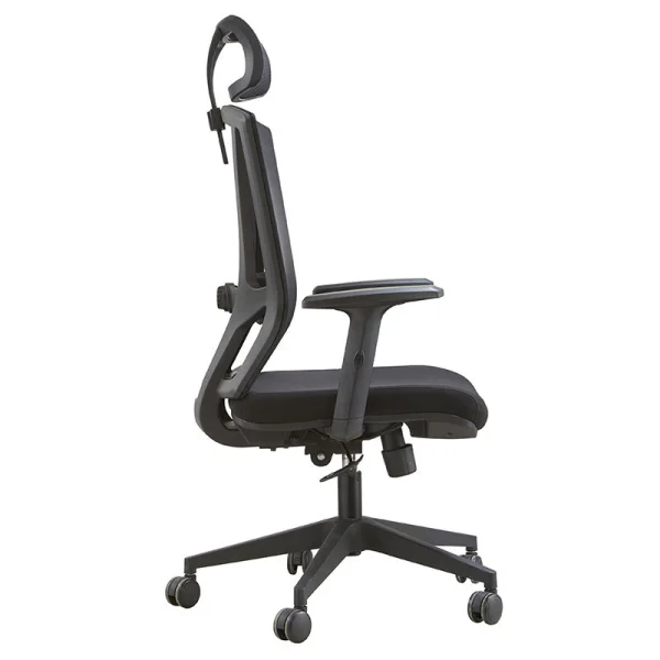 ergonomic chair side view