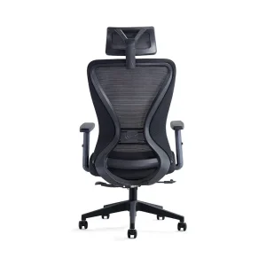 Ergonomic Chair Back View