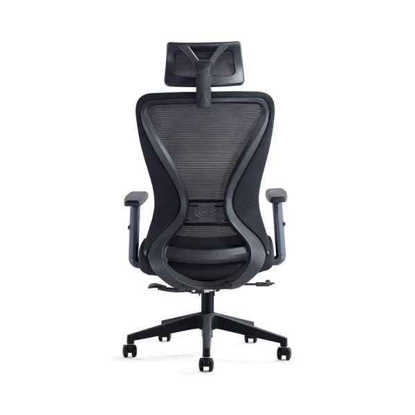 Ergonomic-chair-back-view