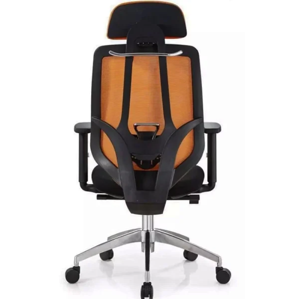 Ergonomic office chair back side