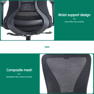 Ergonomic Office Chair Waist Support