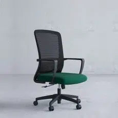 Executive office chair with lumber support