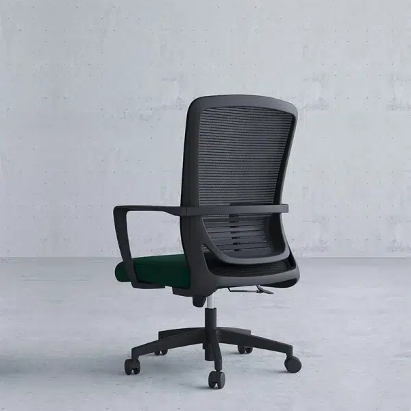 Executive office chair with lumber support back view