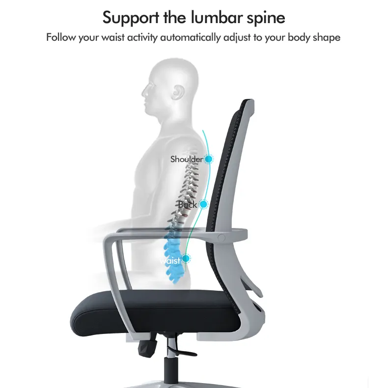 Executive office chair with lumber support