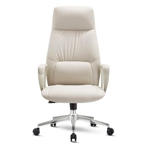 Ergonomic Office Chair