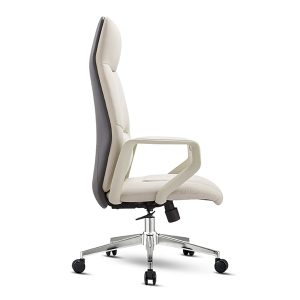 Ergonomic Office Chair