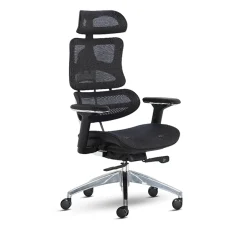Full Mesh Ergonomic Chair